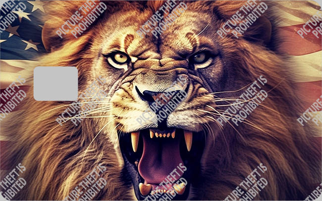 Bank  Card Sticker-BC-1534